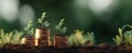 The Growth of Money Represented by Plants Emerging from Stacked Coins.AI generated image Royalty Free Stock Photo