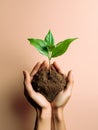 growth and nurturing, with hands delicately holding soil from which a plant is growing.