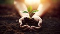 growth and nurturing, with hands delicately holding soil from which a plant is growing. Royalty Free Stock Photo