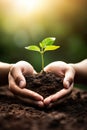 growth and nurturing, with hands delicately holding soil from which a plant is growing. Royalty Free Stock Photo