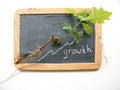 Natural Growth development process schoolboard