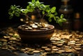 The growth of the plant is growing. A bonsai tree on top of a pile of gold coins Royalty Free Stock Photo