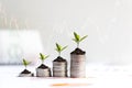 Growth plants economic on stack of coins on paper analyze performance financial graph funding with calculate for investment busine Royalty Free Stock Photo