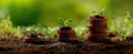 The Growth of Plants Emerging from Stacks of Coins Symbolizing Prosperity.AI generated image Royalty Free Stock Photo