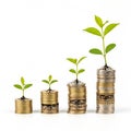 Growth and prosperity symbolized by coins and sprouting plants in increasing sizes Royalty Free Stock Photo