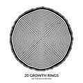 20 growth rings. Tree rings and saw cut tree trunk Royalty Free Stock Photo