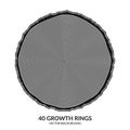 40 growth rings. Tree rings and saw cut tree trunk Royalty Free Stock Photo
