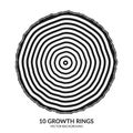 10 growth rings. Tree rings and saw cut tree trunk Royalty Free Stock Photo