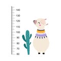 Growth Ruler with Cute Llama Animal at Kids Height Meter Vector Illustration