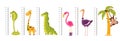 Growth ruler. Kids scale measuring with funny tall or long wild animals and birds. Cute giraffe and dinosaur. Pink flamingo or