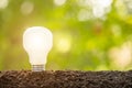Growth or Saving Energy concept. People planting white light bulb in soil on green garden or nature blur Royalty Free Stock Photo