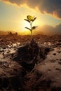 growth on small plant in dry soil, green seedling growing in barren drought dirt, new life and hope concept