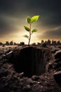 growth on small plant in dry soil, green seedling growing in barren drought dirt, new life and hope concept Royalty Free Stock Photo