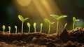 growth sprouting seed Royalty Free Stock Photo