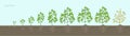 Growth stages of Soybean plant with roots In the soil. Soya bean phases set ripening period. Glycine max life cycle, animation