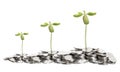 Growth of tree on pile of coins, on white background