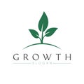 Growth vector logo design. Plant logotype. Gardening and farming logo template.