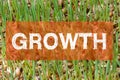 Growth Wheat Germ Royalty Free Stock Photo