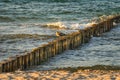 groynes on the beach of the Baltic Sea in Zingst. Waves break on the wood Royalty Free Stock Photo