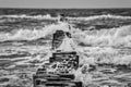 groynes on the beach of the Baltic Sea in Zingst. Waves break on the wood Royalty Free Stock Photo