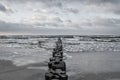 groynes on the beach of the Baltic Sea in Zingst. Waves break on the wood Royalty Free Stock Photo