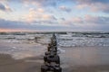 groynes on the beach of the Baltic Sea in Zingst. Waves break on the wood Royalty Free Stock Photo