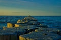 groynes on the beach of the Baltic Sea in Zingst. Waves break on the wood Royalty Free Stock Photo