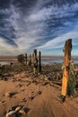 Groynes at Spurn Point Royalty Free Stock Photo