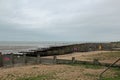 Groynes at Whitstable Beach at low tide Royalty Free Stock Photo