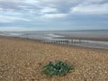 Groynes on Winchelsea Beach to stop the erosion by the tides and weather. Pebble beach with sea and sky landscape - East Sussex UK