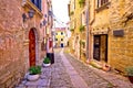 Groznjan cobbled street and old architecture view Royalty Free Stock Photo