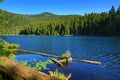 GroÃÅ¸er Arbersee is a lake in Bayerischer Wald, Bavaria, Germany