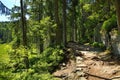 GroÃÅ¸er Arbersee is a lake in Bayerischer Wald, Bavaria, Germany Royalty Free Stock Photo