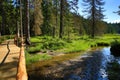 GroÃÅ¸er Arbersee is a lake in Bayerischer Wald, Bavaria, Germany Royalty Free Stock Photo