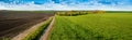 grren wheat field with dirt road near plowed land