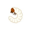 Grub larva icon. Clipart image