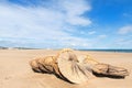 Gruissan plage in France Royalty Free Stock Photo