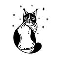 Grumpy black and white cat vector icon. Irritated spotted kitten sits and gets angry. Sad pet, domestic animal. Simple