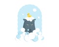 Grumpy cat bathing with soap bubbles Royalty Free Stock Photo