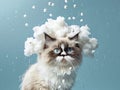 A grumpy cat dressed as a grumpy cloud rains down tiny marshmallows small