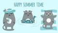 Grumpy cat happy summer time. Vacation, rest,relax Royalty Free Stock Photo