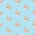 Grumpy cat pattern