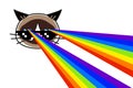 Grumpy cat in pixel glasses with rainbow lasers