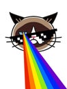 Grumpy cat in pixel glasses with rainbow lasers