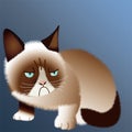 Grumpy Cat