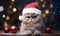 A grumpy cat in a Santa Claus hat is waiting for the Christmas moment to arrive. Royalty Free Stock Photo