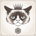 Grumpy cat Royalty Free Stock Photo