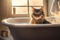 grumpy disheveled cat is sitting in the bathroom bathing.