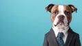 Grumpy dog wearing business suit, exuding serious demeanor Royalty Free Stock Photo