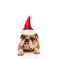 Grumpy english bulldog santa sticking out his tongue Royalty Free Stock Photo